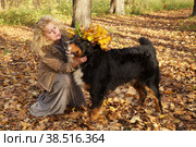 dog in yellow leaves crown. Стоковое фото, фотограф Lekcej / Фотобанк Лори