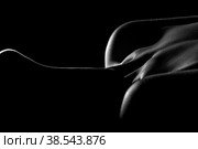 beautiful female slim neck with clavicle on black background, monochrome. Стоковое фото, фотограф Lekcej / Фотобанк Лори