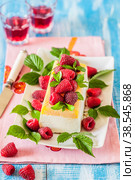 Lemon Semifreddo with Raspberries. Стоковое фото, фотограф Татьяна Ворона / Фотобанк Лори
