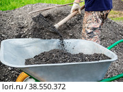 unidentified man pours gravel into a wheelbarrow. as part of a construction project, a man is transporting rubble on a hand wheelbarrow. Paving the road with gravel. Construction with your own hands. Стоковое фото, фотограф Оксана Медведева / Фотобанк Лори