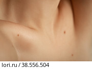 beautiful female clavicles. Стоковое фото, фотограф Lekcej / Фотобанк Лори