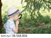 Летние каникулы. Маленький ребенок в шляпе рассматривает листья с помощью увеличительного стекла. Мальчик дошкольного возраста изучает природу с помощью лупы. Образование, экскурсии, концепция исследования. Стоковое фото, фотограф Photojuli / Фотобанк Лори