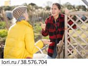 Two upset young and old female neighbors disagree with each other while standing near fence on smallholding in autumn. Стоковое фото, фотограф Яков Филимонов / Фотобанк Лори