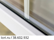 Fragment of double glazing with white sprats. Стоковое фото, фотограф Siarhei Starastau / Фотобанк Лори
