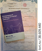 Международный ветеринарный паспорт животного и ветеринарный сертификат. Документы на бланке  на собаку для полета на самолете (2023 год). Редакционное фото, фотограф Ирина Терентьева / Фотобанк Лори