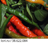 Spicy chili. Astrakhan pepper on a white background. To give taste, sharpness and piquancy to the prepared dish. The ingredient from the recipe. Стоковое фото, фотограф Елена Бобкова / Фотобанк Лори
