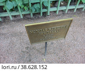 Табличка в Летнем соду "Молодая женщина (Римлянка)". Санкт-Петербург (2022 год). Редакционное фото, фотограф Кургузкин Константин Владимирович / Фотобанк Лори