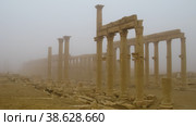 View to Palmyra columns in fog, Syria (2011 год). Стоковое фото, фотограф Сергей Майоров / Фотобанк Лори