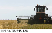 Поволжье, страда. Комбайн убирает пшеницу. Volga region, harvest season. Combine harvest wheat. Стоковое видео, видеограф Евгений Романов / Фотобанк Лори