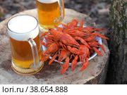 Crayfish with beer on a wooden table. Стоковое фото, фотограф Марина Володько / Фотобанк Лори