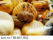 Sale of cheese of different varieties at the farm fair. Cheese from Russian producers is offered to customers. Стоковое фото, фотограф Оксана Медведева / Фотобанк Лори