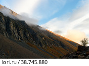 Great nature mountain range. Amazing sunrise view of mountain slope in republic Altai with dramatic fog or cloud, sunny beam and lonely tree with blue cloudy sky as a background. Siberia, Russia. Стоковое фото, фотограф Евгений / Фотобанк Лори
