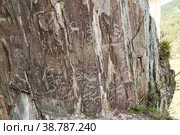 Preserved rock paintings - petroglyphs depict wild animals, hunting scenes of people of Bronze Age or Scythian period (2019 год). Стоковое фото, фотограф Дмитрий Коростылев / Фотобанк Лори