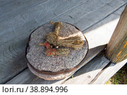 Соломенные игрушки - амулеты на старом камне с мельницы. Стоковое фото, фотограф Pukhov K / Фотобанк Лори