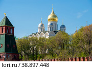 Вид на Московский Кремль, Собор святого Архистратига Михаила в Кремле в летний день. Москва, Россия (2019 год). Стоковое фото, фотограф Pukhov K / Фотобанк Лори