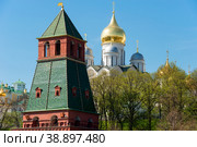 Вид на Московский Кремль, Благовещенский собор в летний день. Москва, Россия (2019 год). Стоковое фото, фотограф Pukhov K / Фотобанк Лори