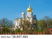 Вид на Московский Кремль, Благовещенский собор в летний день. Москва, Россия (2019 год). Стоковое фото, фотограф Pukhov K / Фотобанк Лори