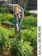 Woman hoeing in garden. Стоковое фото, фотограф Яков Филимонов / Фотобанк Лори