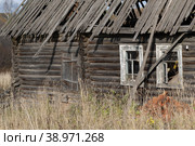 Разрушающийся заброшенный деревянный дом с выбитыми стёклами и прогнившей крышей (2022 год). Стоковое фото, фотограф Оксана Шведкова / Фотобанк Лори
