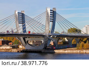 Санкт-Петербург. Мост Бетанкура между Петровским островом и островом Декабристов. (2018 год). Редакционное фото, фотограф Александр Тарасенков / Фотобанк Лори