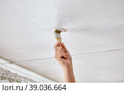 Using paintbrush to touch up ceiling with white paint, house painter paints surface. Стоковое фото, фотограф Владимир Григорьев / Фотобанк Лори
