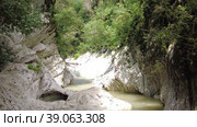 a strange river. a beautiful mountain river among rocks and forests. beautiful stones mountains river water nature. Стоковое видео, видеограф Meshkov Sergey / Фотобанк Лори