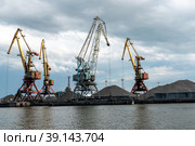 Портальные краны в морском торговом порту. Калининград (2018 год). Редакционное фото, фотограф Александр Щепин / Фотобанк Лори