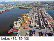 Петербургский морской порт. Контейнерный терминал АО «Петролеспорт» на дамбе Гребёнка. Вид сверху (2021 год). Редакционное фото, фотограф Александр Тарасенков / Фотобанк Лори