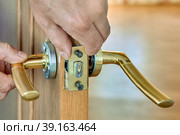 Lever door handle is installed in interior door of house. Стоковое фото, фотограф Владимир Григорьев / Фотобанк Лори
