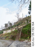 Vertical landscape with an empty stairway going up (2021 год). Стоковое фото, фотограф EugeneSergeev / Фотобанк Лори