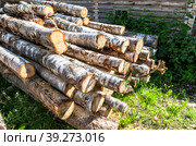 Stacked timber at the countryside in sunny day. Стоковое фото, фотограф FotograFF / Фотобанк Лори