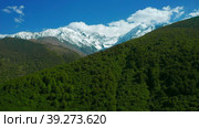 Descending On Dense Thicket With Snow-capped Mountains. Стоковое видео, видеограф Поскребышев Михаил / Фотобанк Лори