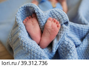 Pregnancy, motherhood, preparation and expectation of motherhood, the concept of the birth of a child. Newborn baby feet closeup in a blue blanket in the shape of a heart. Стоковое фото, фотограф Photojuli / Фотобанк Лори