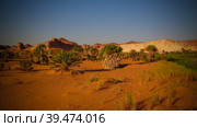 Panoramic view to Boukkou lake group of Ounianga Serir lakes at the Ennedi, Chad. Стоковое фото, фотограф Сергей Майоров / Фотобанк Лори