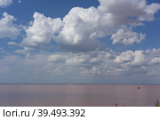 White clouds over the pink salt lake (2018 год). Стоковое фото, фотограф Виктория Кольцова / Фотобанк Лори
