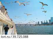 Прогулочный теплоход на реке Ханган, Сеул (2018 год). Редакционное фото, фотограф Римма Тельнова / Фотобанк Лори