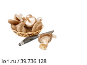 shiitake organic mushrooms in a basket and on a white background with an antique cutting knife. lentinula edible, Japanese forest mushroom. Стоковое фото, фотограф Оксана Медведева / Фотобанк Лори