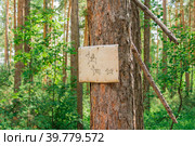 Ancient letter on papyrus on wood from hunters for their fellow tribesmen in the Siberian forest. Стоковое фото, фотограф Елена Руй / Фотобанк Лори
