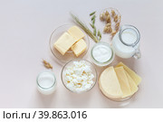 Flat lay of fresh dairy products - milk, cottage cheese, yogurt, sour cream, butter and oat ears on light background. Organic farm natural healthy food. Place for text. Tip view, closeup, copy space, mock up. Стоковое фото, фотограф Виктория Катьянова / Фотобанк Лори