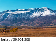 Курайская степь в окрестностях реки Тюте (Тетё) осенью. Кош-Агачский район Республики Алтай. Стоковое фото, фотограф Евгений Мухортов / Фотобанк Лори