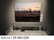 Фотовыставка Владимира Соловьева  "За лентой" на Мосфильме, джевелин (2023 год). Редакционное фото, фотограф Дмитрий Неумоин / Фотобанк Лори