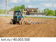 Трактор вспахивает поле, и птицы слетелись на пашню (2019 год). Редакционное фото, фотограф Pukhov K / Фотобанк Лори