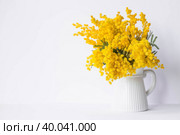 Букет мимозы в белой вазе на белом фоне. Концепция домашнего уюта. Концепция весны в доме и Международного женского дня 8 марта. Стоковое фото, фотограф Photojuli / Фотобанк Лори