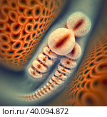 Toxocara canis second stage larvae hatch from eggs. Стоковое AI-изображение, AI-художник Юлия Петровская / Фотобанк Лори