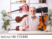 Old male repairman repairing musical instruments at workplace. Стоковое фото, фотограф Elnur / Фотобанк Лори
