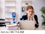Young female employee working in the office. Стоковое фото, фотограф Elnur / Фотобанк Лори