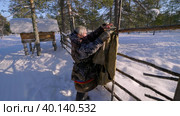 Западная Сибирь, оленевод ханты отряхивает тент от снега. Western Siberia, the reindeer herder of the Khanty people shakes the tent from the snow. Стоковое видео, видеограф Евгений Романов / Фотобанк Лори