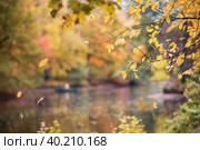 Autumn park during leaf fall, colorful trees are reflected in the water, a pacifying calm view of nature. Стоковое фото, фотограф Мария Мороз / Фотобанк Лори