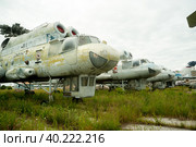 Old MI-10K helicopters (2019 год). Редакционное фото, фотограф Сергей Буторин / Фотобанк Лори