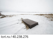 Жернов и наковальня у дома Бажениных в деревне Вавчуга. Россия, Холмогорский район (2023 год). Стоковое фото, фотограф Яковлев Сергей / Фотобанк Лори
